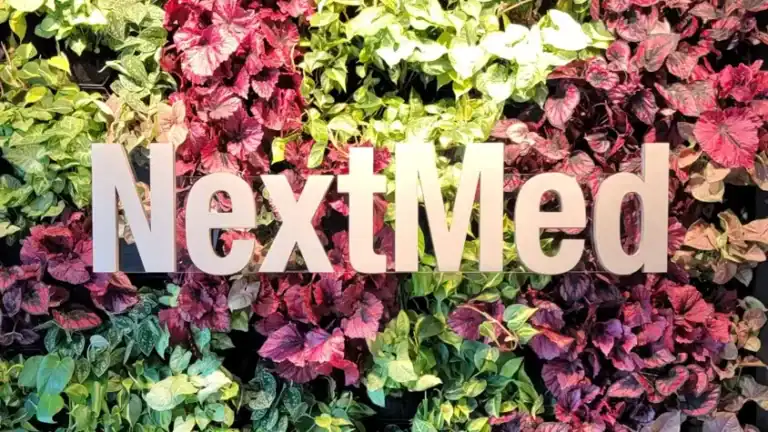 Floating logo in front of a live wall