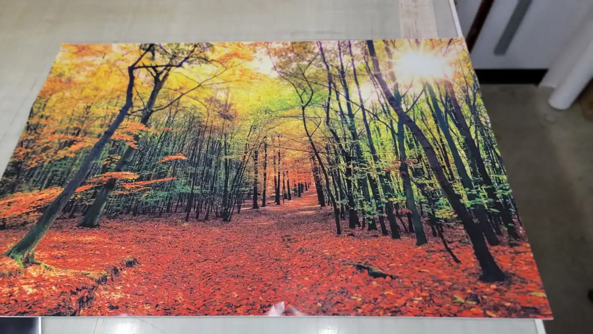 Colorful autumn forest scene printed on a large sign or banner.